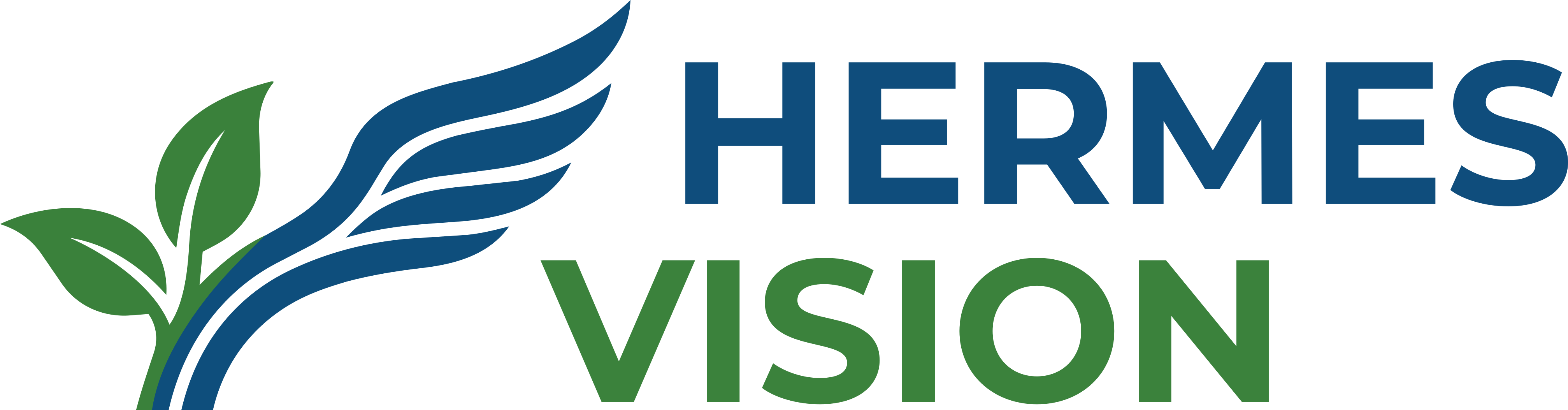 Hermes Vision