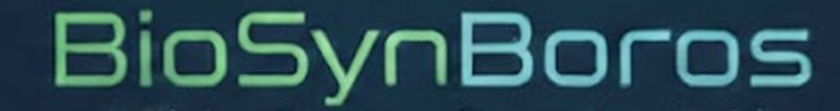 BioSynBoros