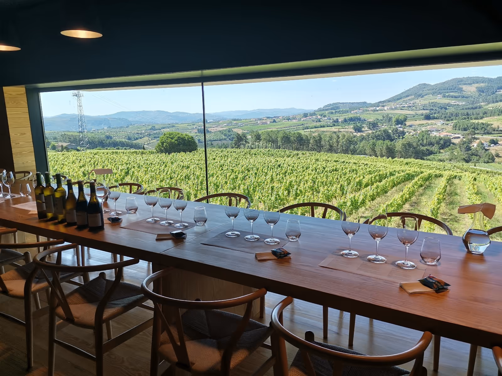 Experiencias_Sabrosa Senses