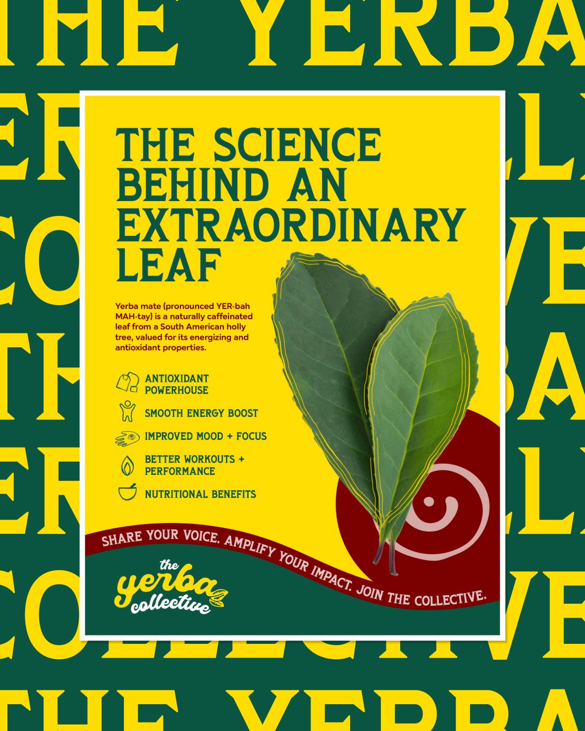 the yerba collective
