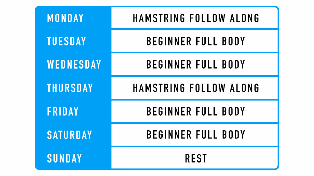 schedule - Flexibility Goals Examples