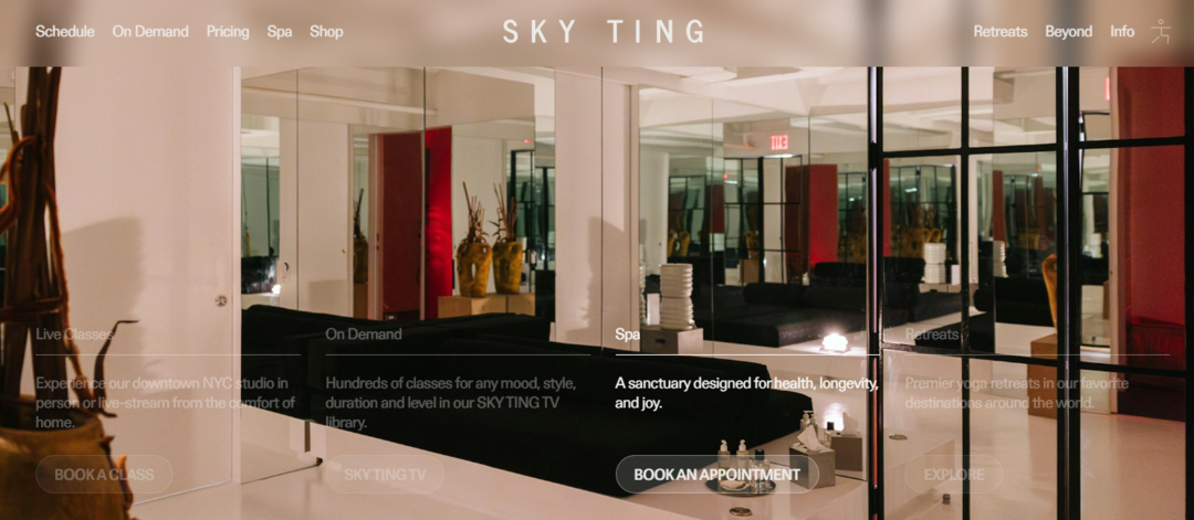 Sky Ting TV