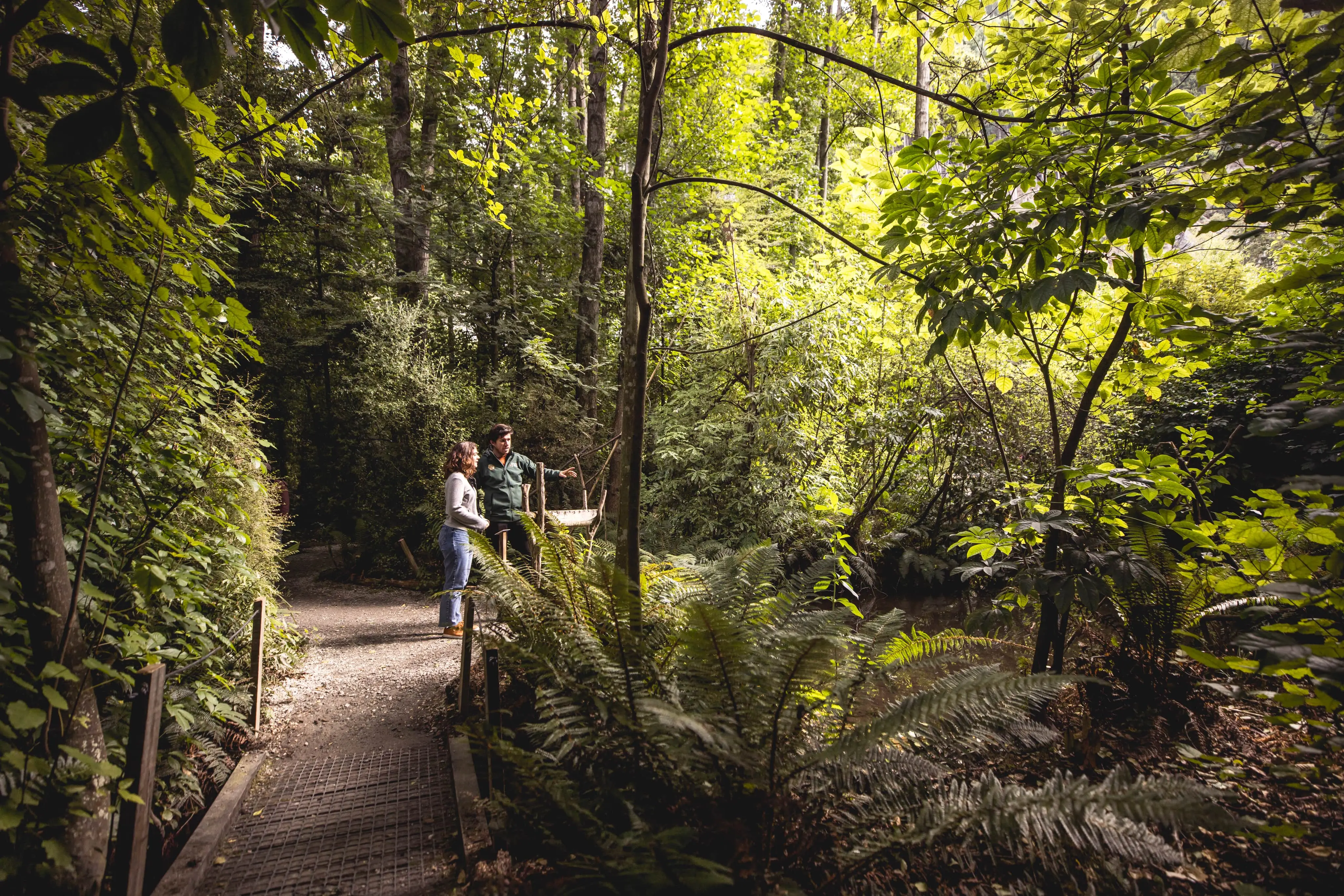 Bob's cove track, New Zealand