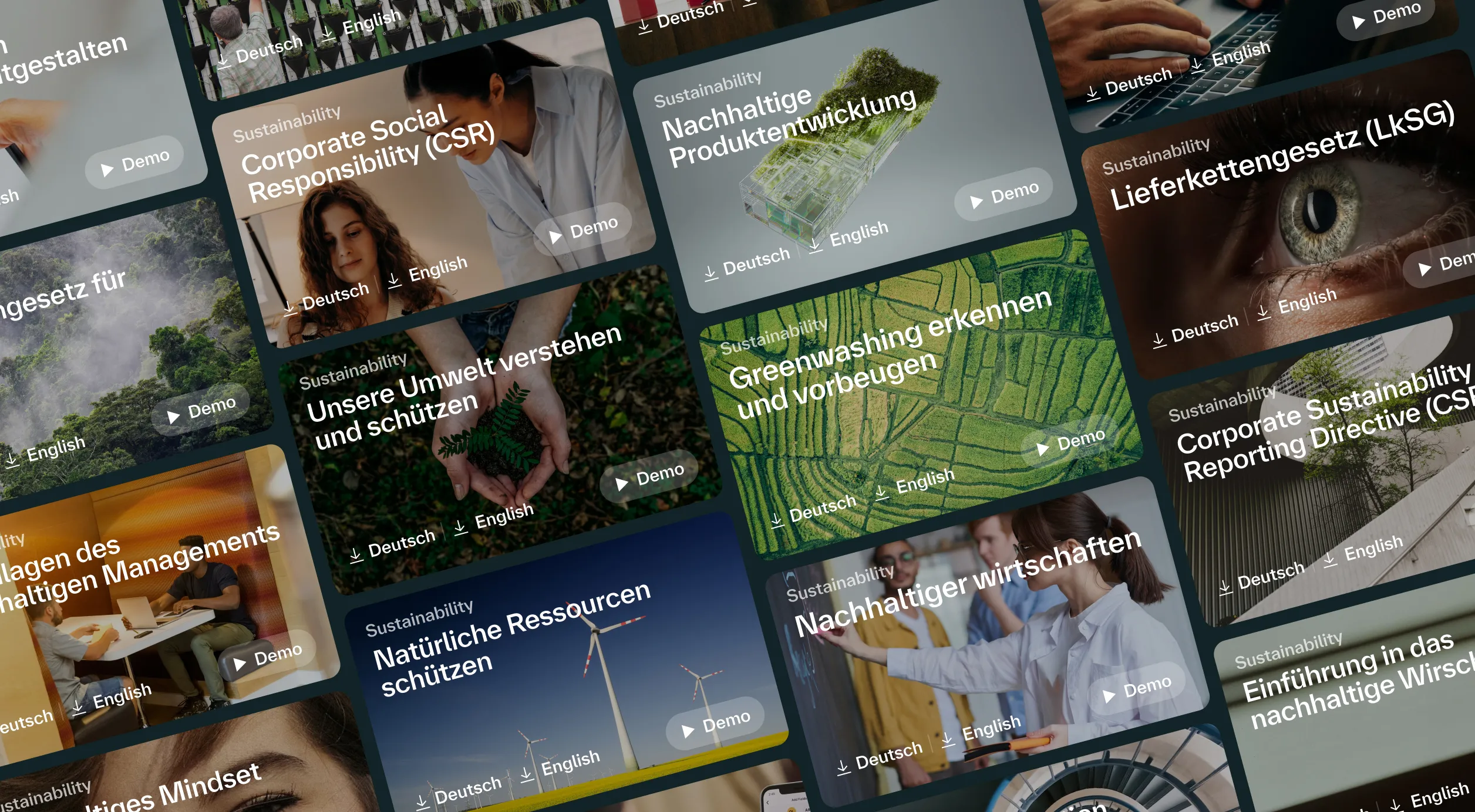 Ausschnitt aus Themen der Sustainability Trainings. Zu sehen sind u.a. Greenwashing, Corporate Socil Responsibility (CSR), ESG, LkSG, Nachhalitge Produktentwicklung und weitere.