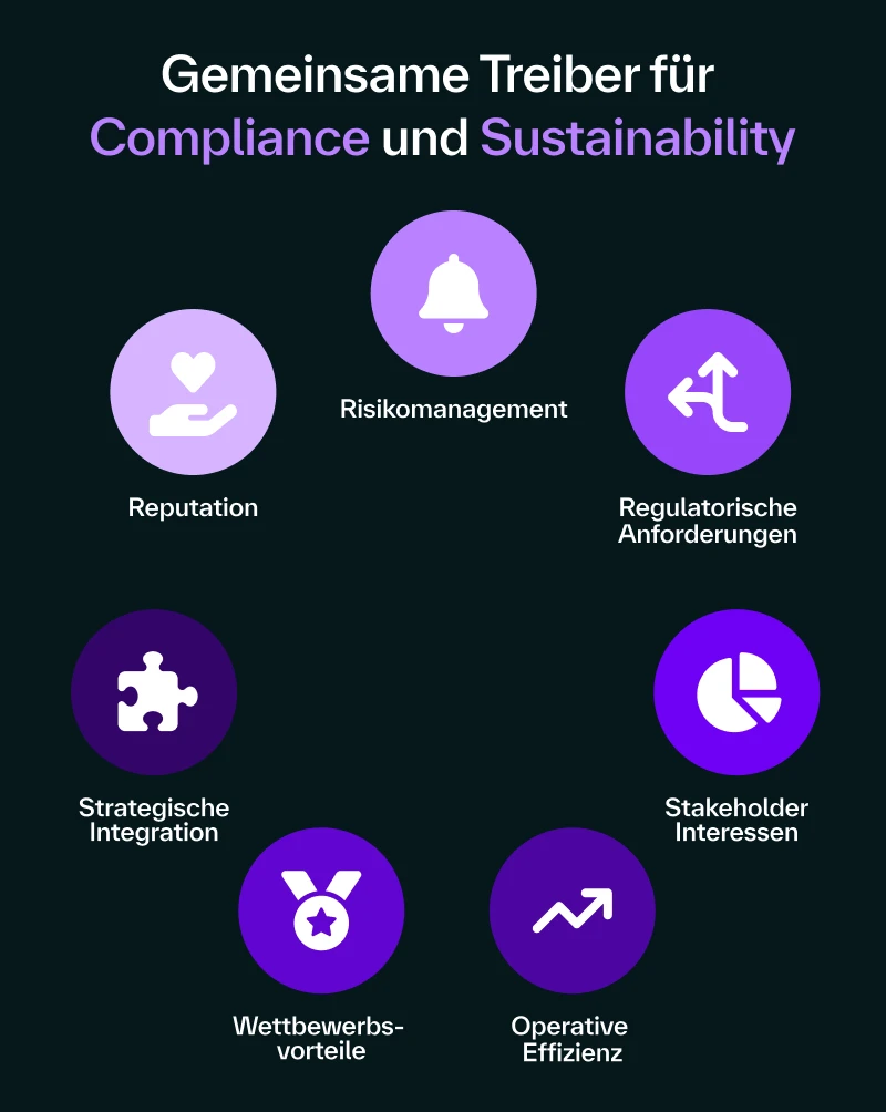 Visualization of the 7 common drivers for compliance and sustainability