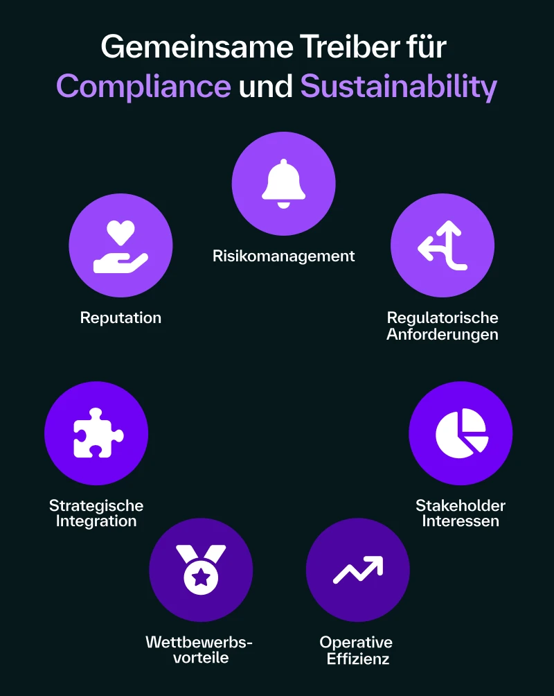 Visualization of the 7 common drivers for compliance and sustainability