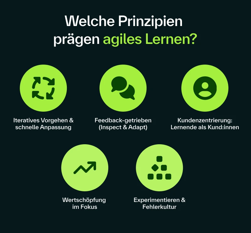Die Prinzipien des agilen lernens