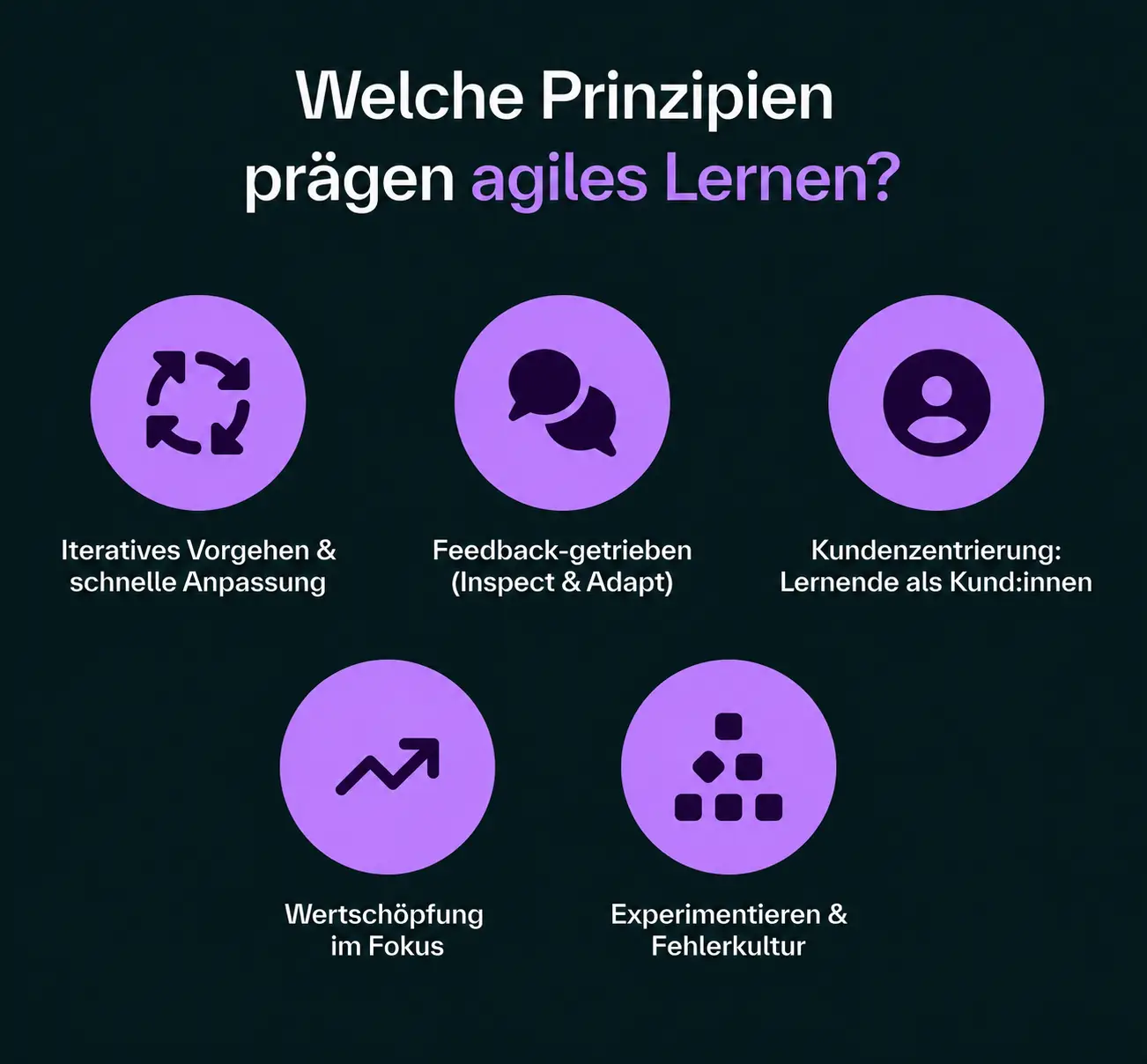 ünf Prinzipien agilen Lernens: iteratives Vorgehen, Feedback, Kundenzentrierung, Wertschöpfung und Fehlerkultur.