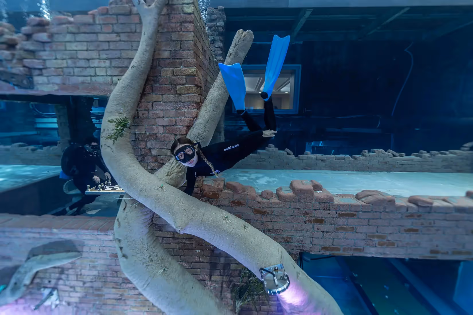 freedive non certified private image