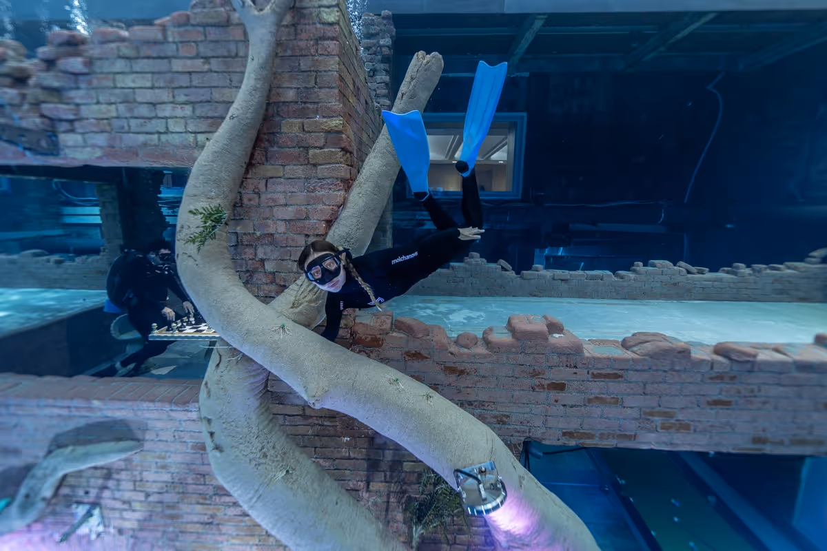 a woman in a black wetsuit and fins underwater