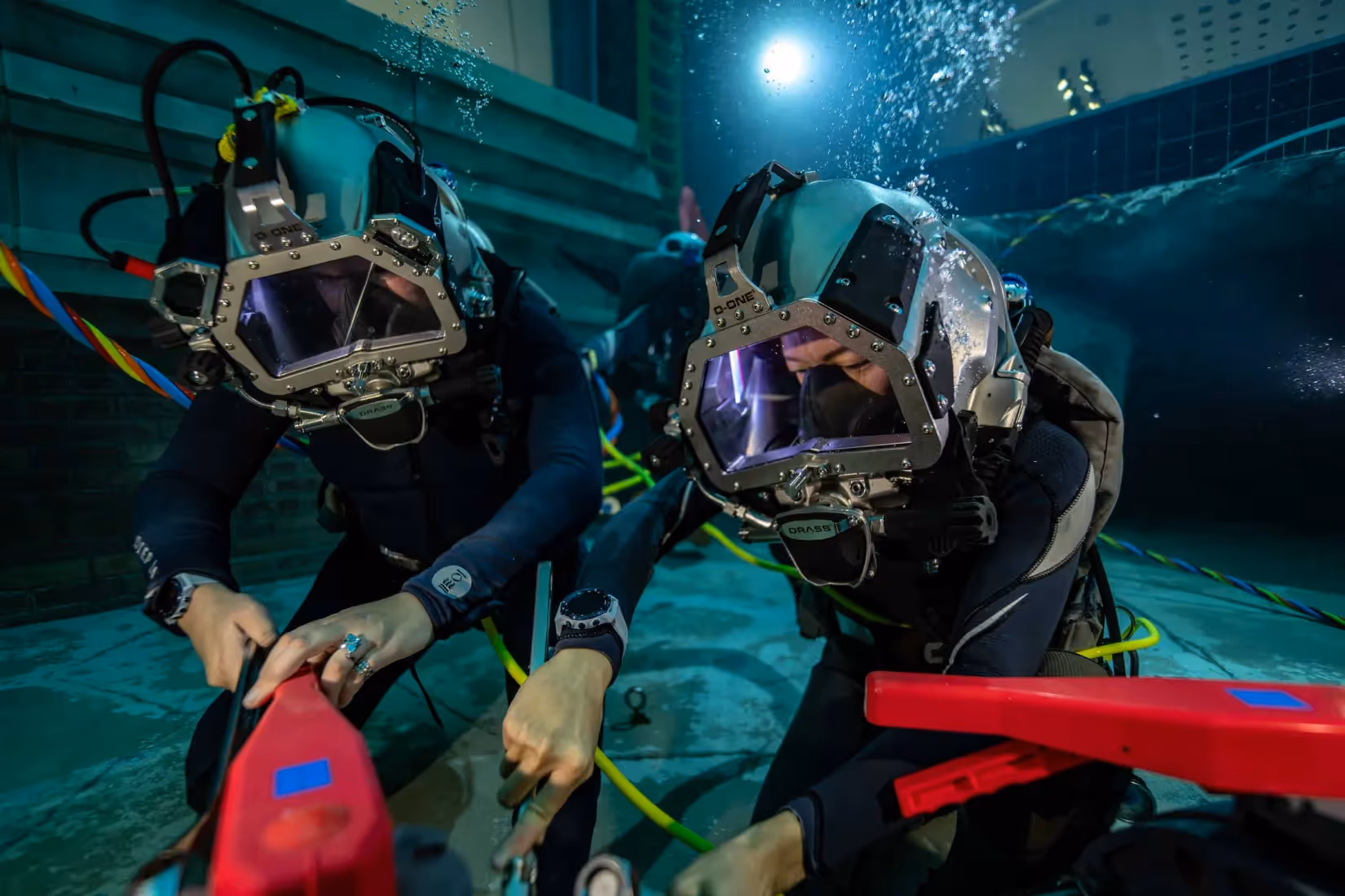 a group of people wearing scuba gear