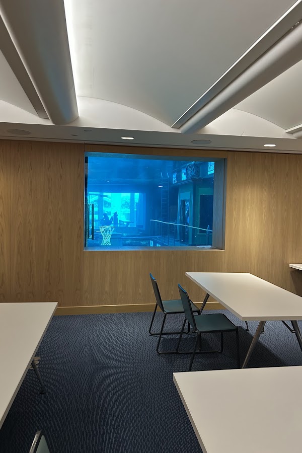 Room with white tables and chairs faces an underwater viewing window showing a basketball hoop.