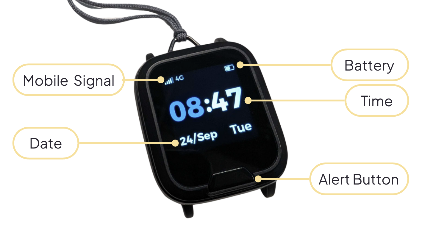 Umps Mobile Alarm interface