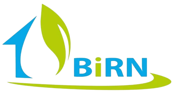 Grüner Blätterbogen neben blauem Pfeil, daneben der Text BiRN in Blau und Grün.