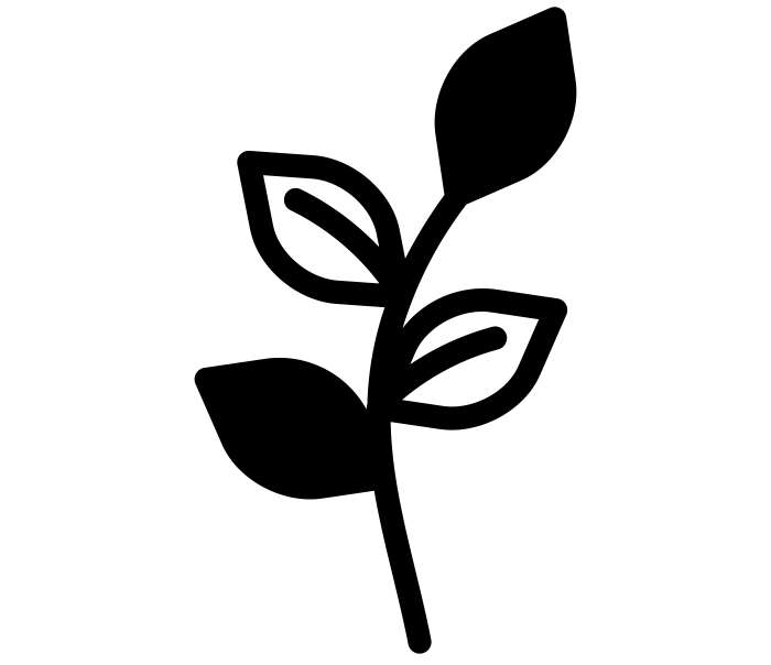 Schwarze Silhouette einer Pflanze mit vier Blättern und drei Wurzeln.