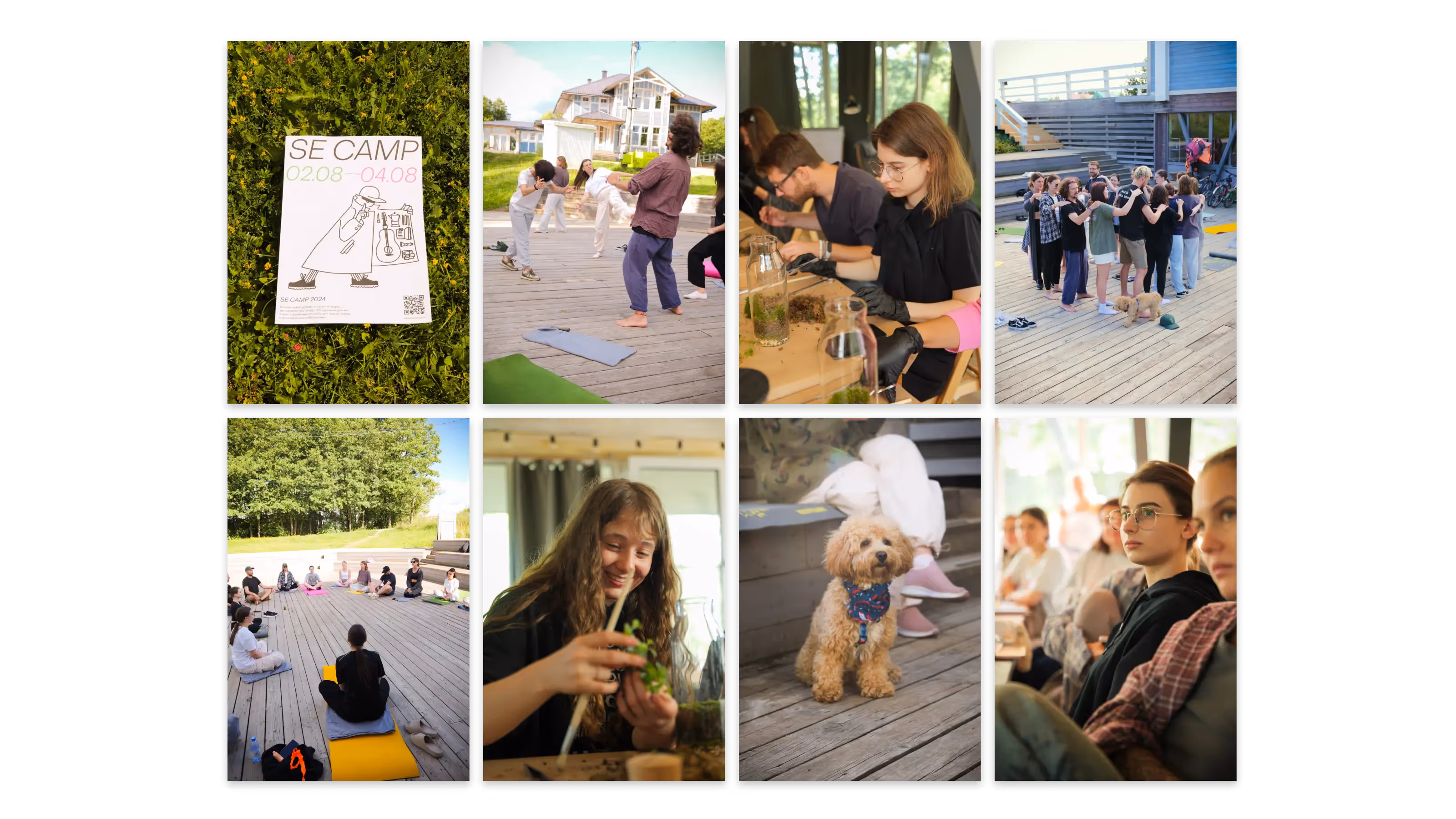 Фото с мероприятий Setters Education