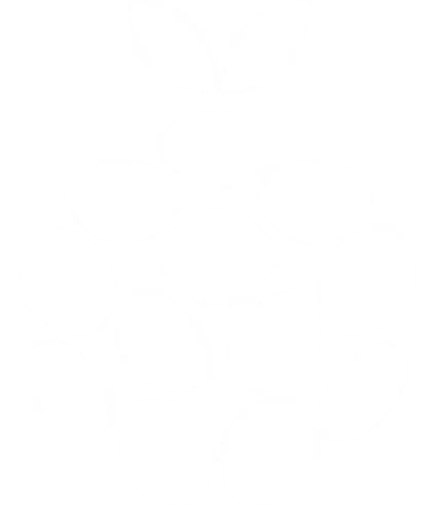 White dotted outline of a raspberry fruit with two leaves on top on a black background.