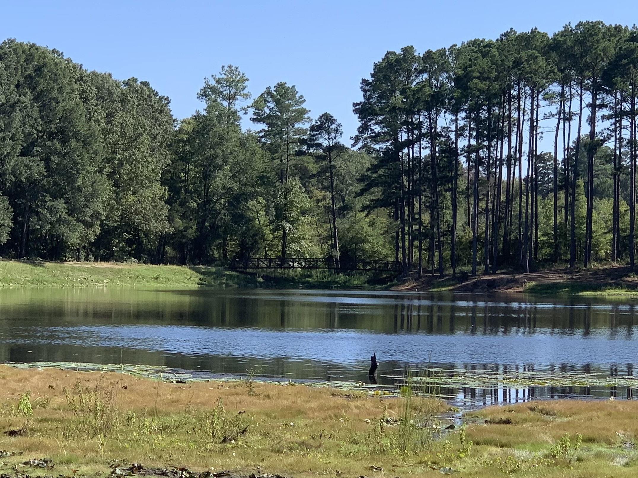 Faulkner Park