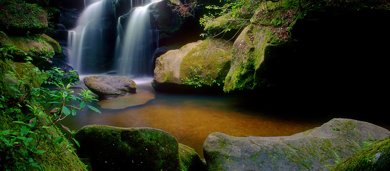 Dismals Canyon