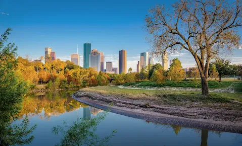 The Woodlands