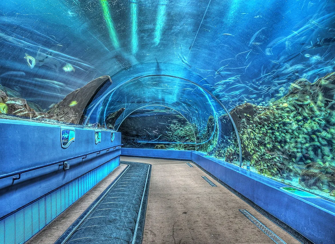 Georgia Aquarium
