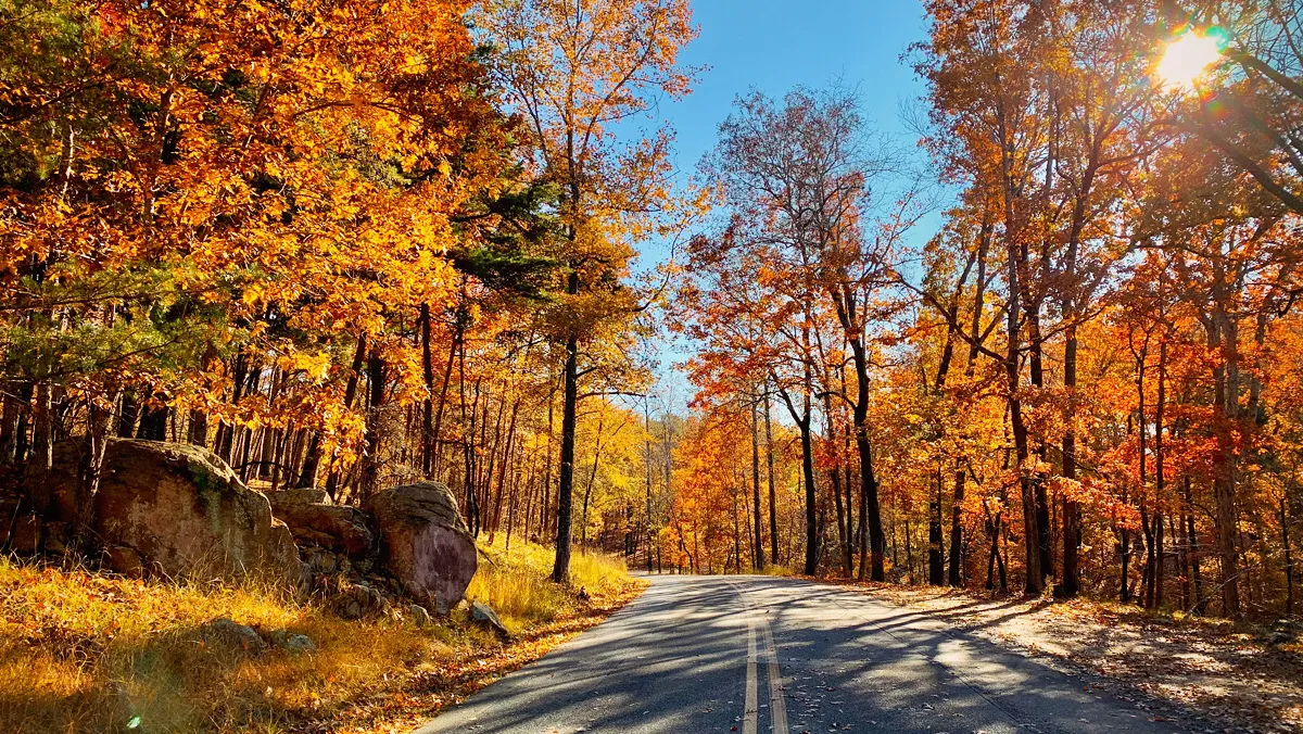 Morrow Mountain State Park