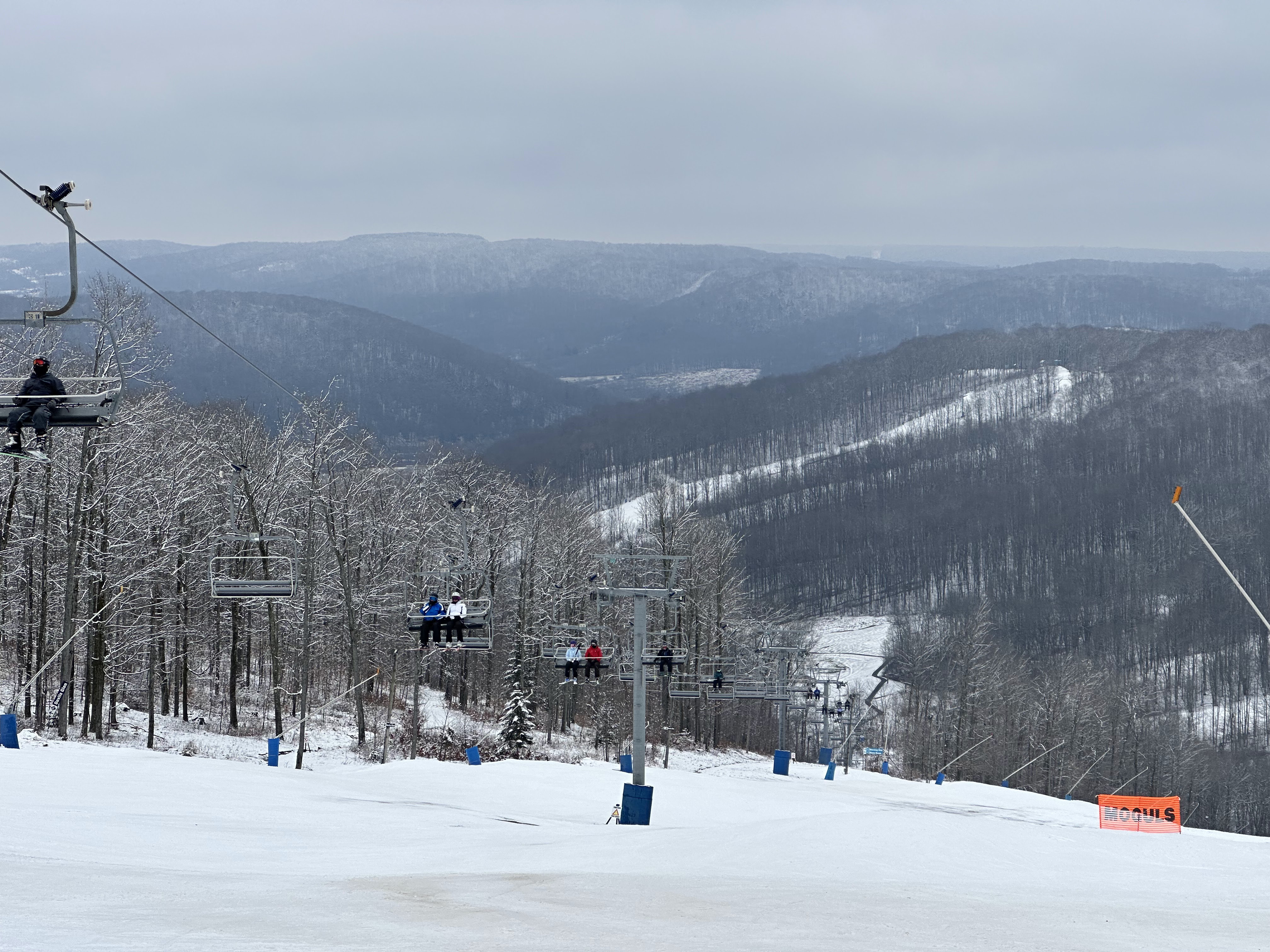 Springville