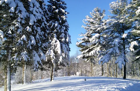 Portage