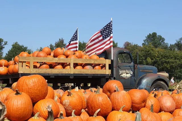 Southern Belle Farm