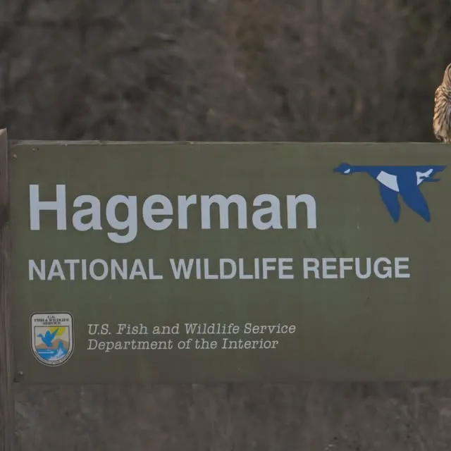 Hagerman National Wildlife Refuge