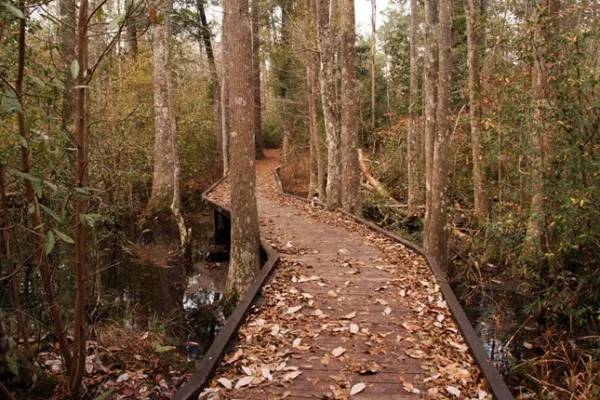 Lumberton