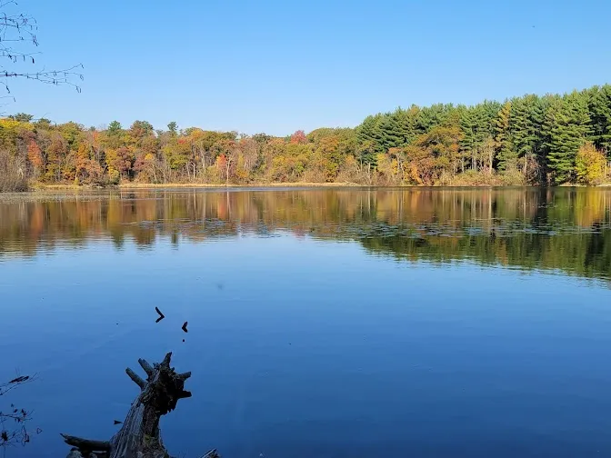 Waupaca