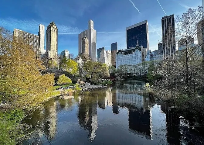 White Plains