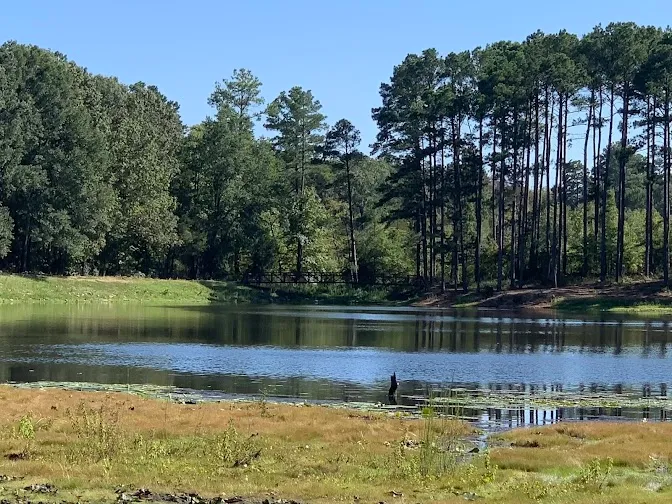 Winnsboro