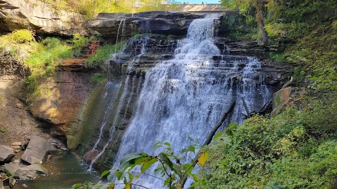 Middleburgh Heights