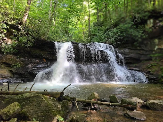 Buckhannon