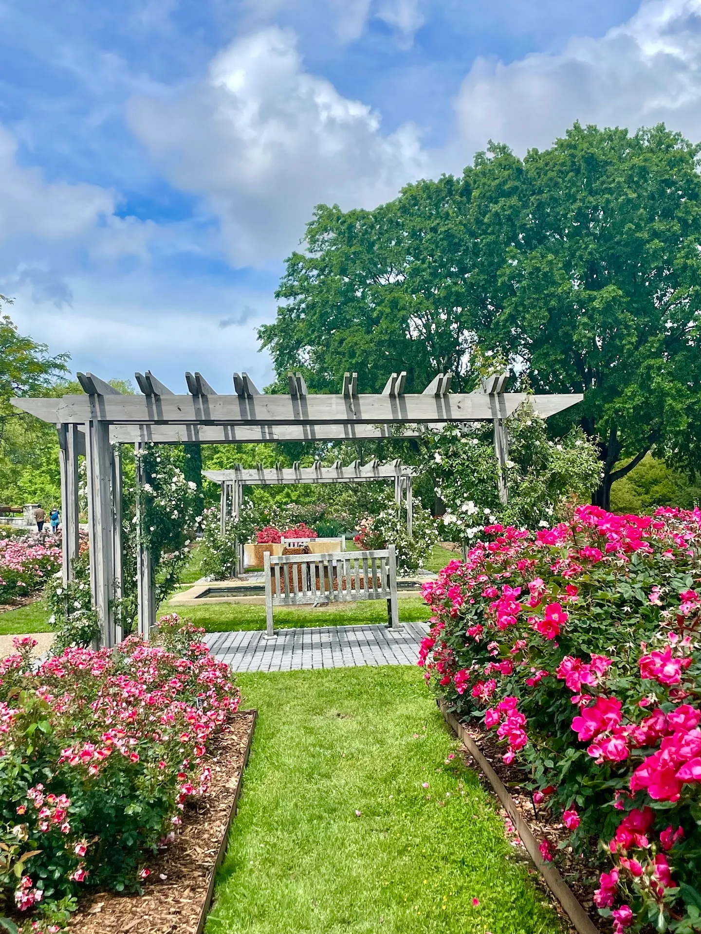 Norfolk Botanical Garden