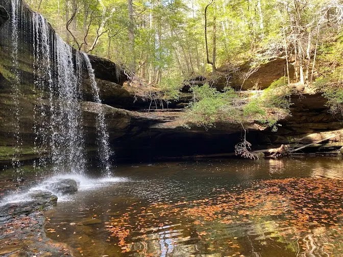Haleyville