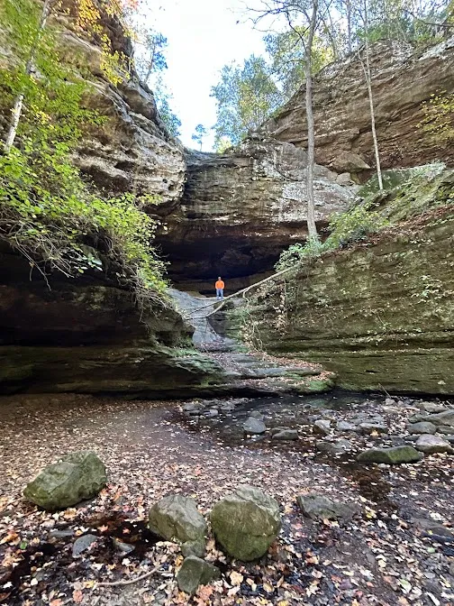 West Frankfort