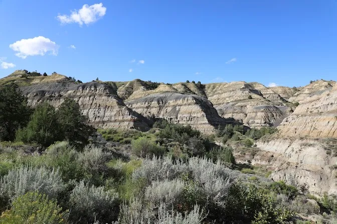 Watford City