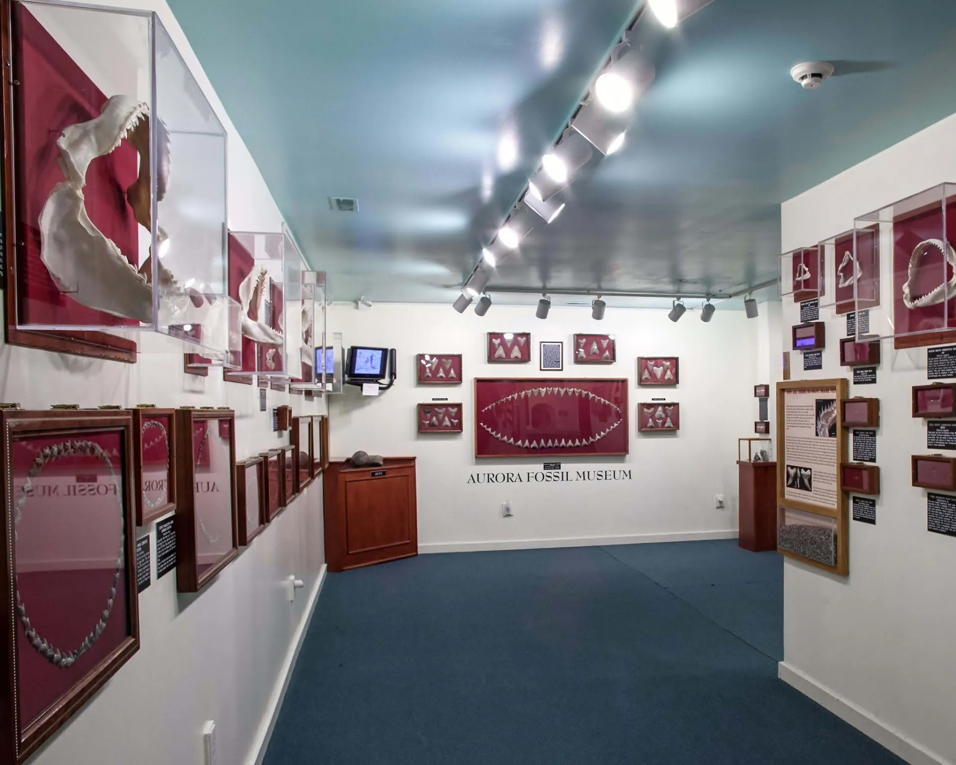 Aurora Fossil Museum
