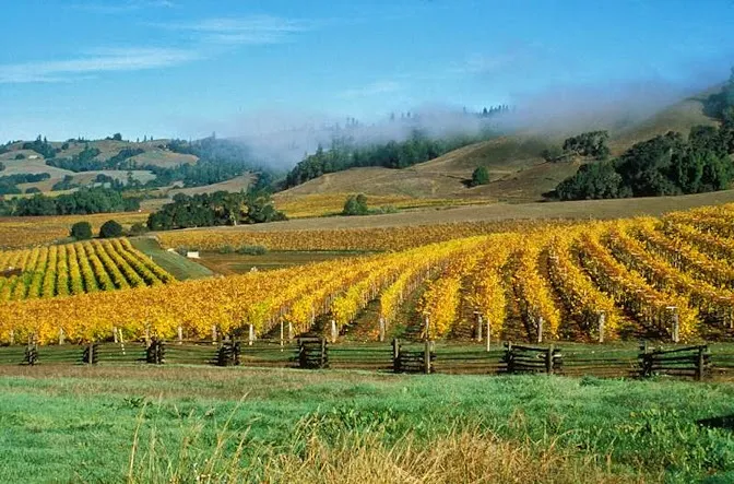 Ukiah