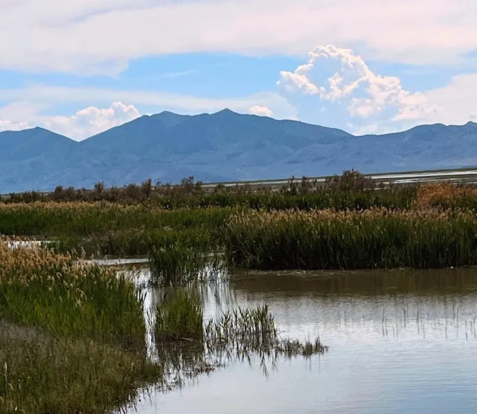 Tremonton