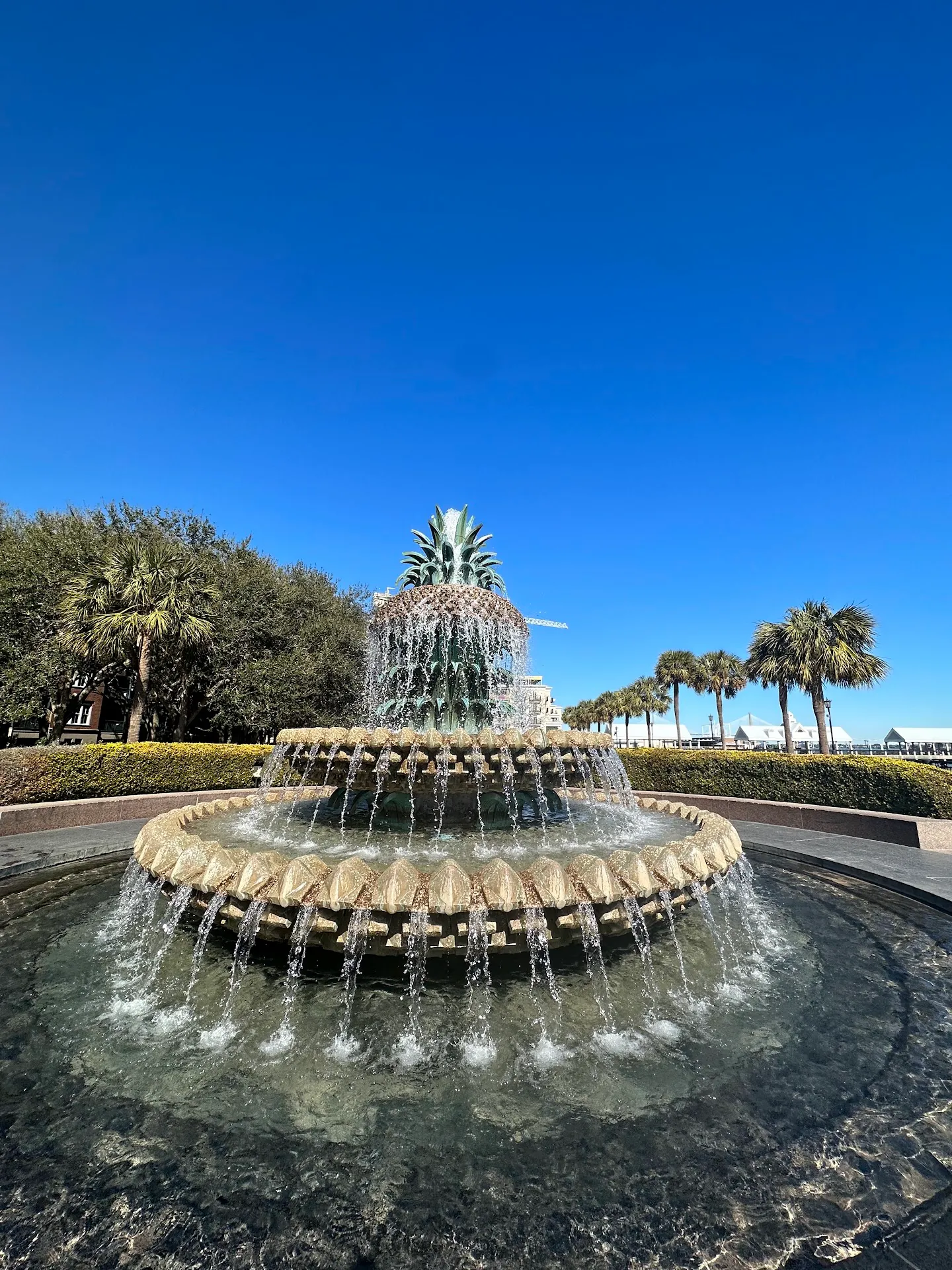Pineapple Fountain