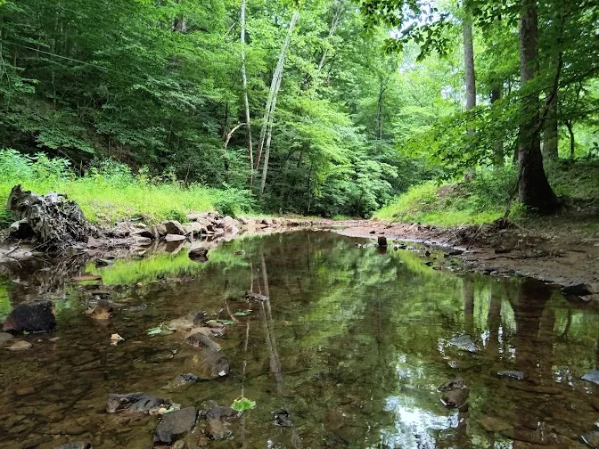 South Charleston