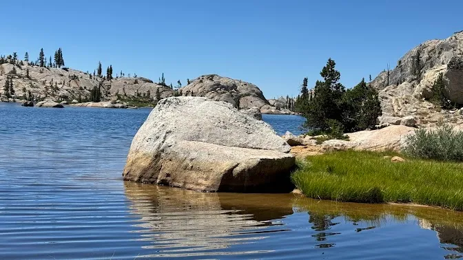 Sonora
