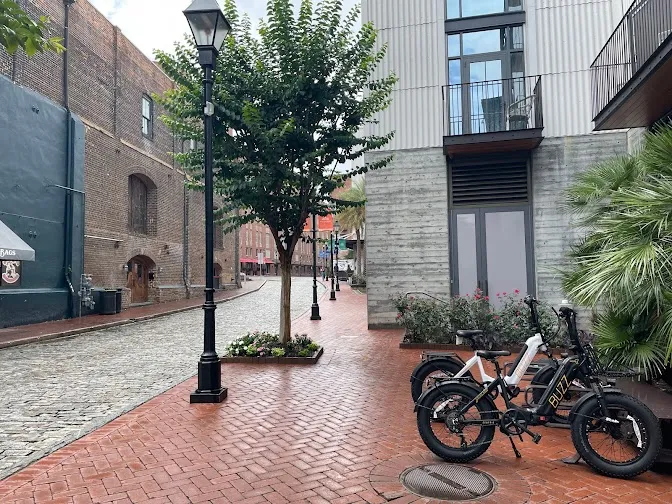 Savannah