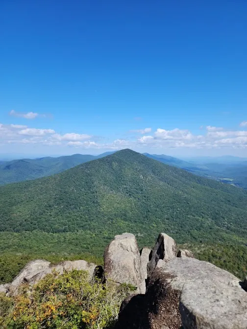 Lynchburg