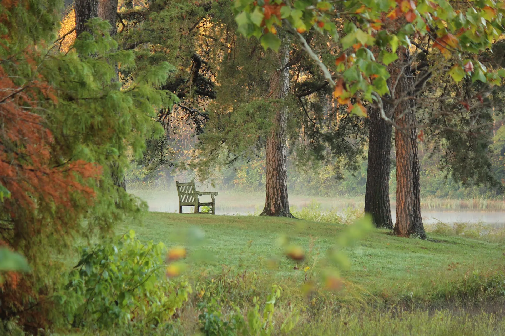 Bernheim Forest and Arboretum