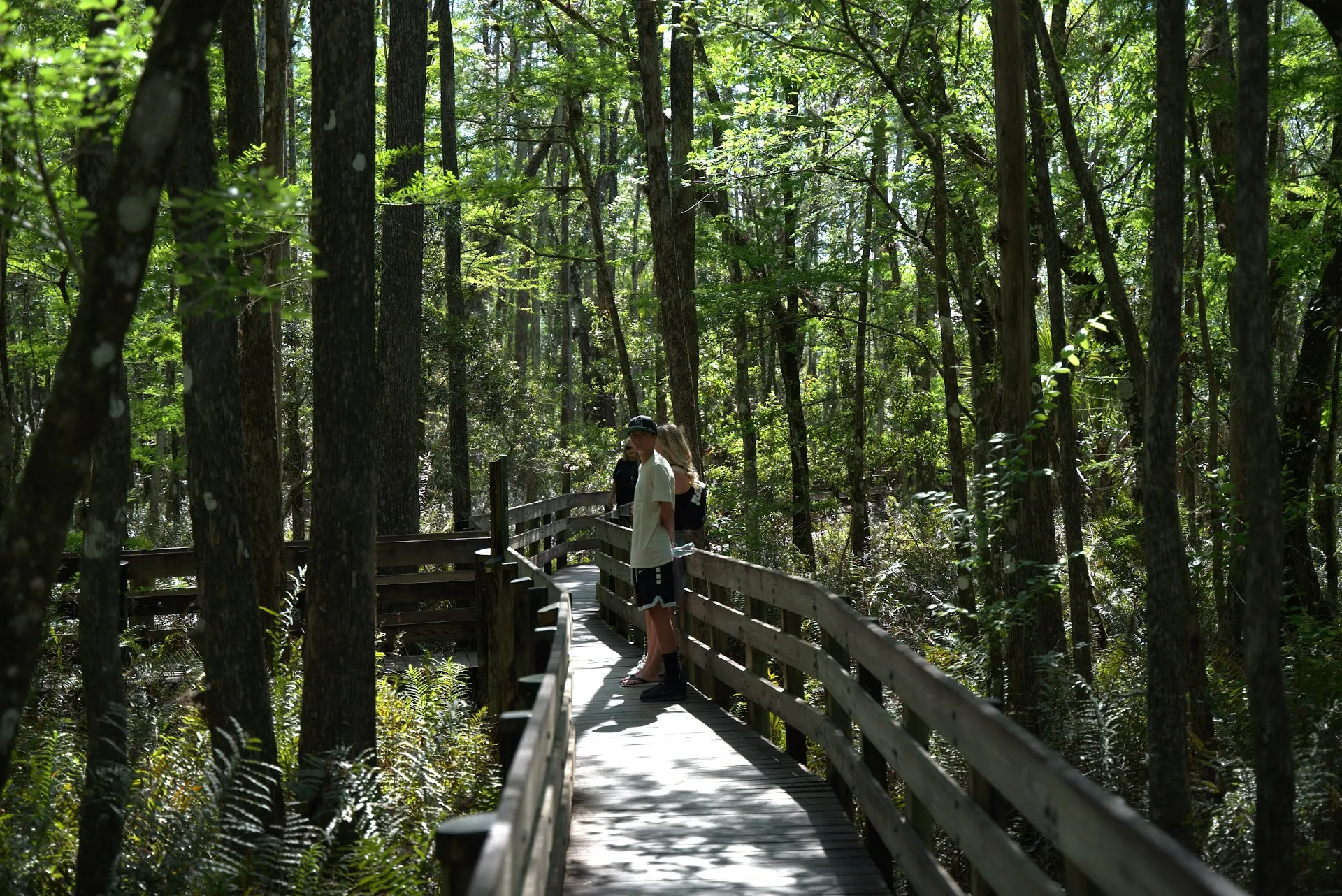 Six Mile Cypress Slough Preserve